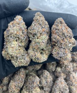 Bugatti Gelato Strain