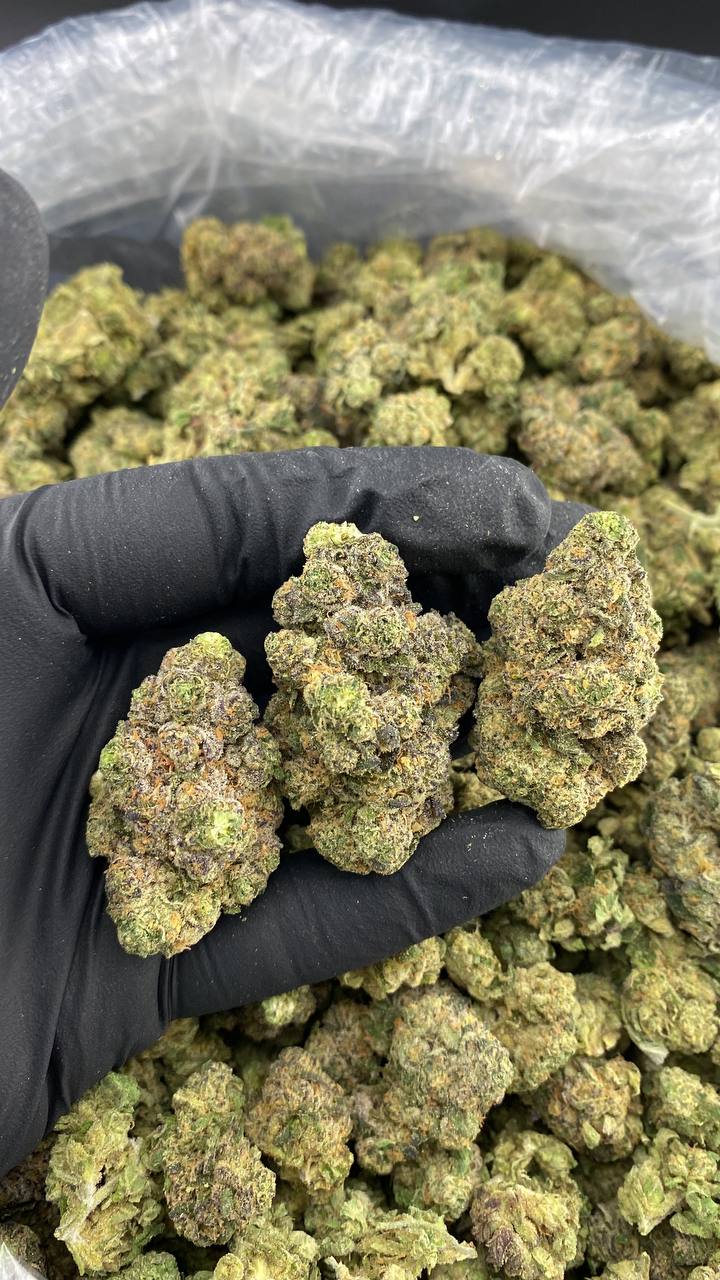 Chery Runtz Strain Chery Runtz Strain