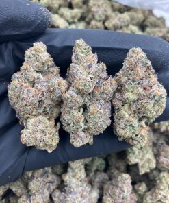 God Father OG Strain