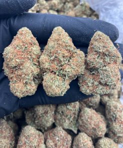 Mac1 x Platinum Strain