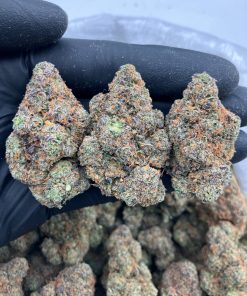 Maybach Gruntz Strain
