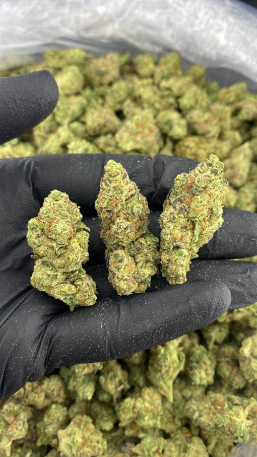 Peanut Butter Breath Strain