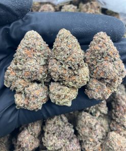 Pinkman Runtz Strain