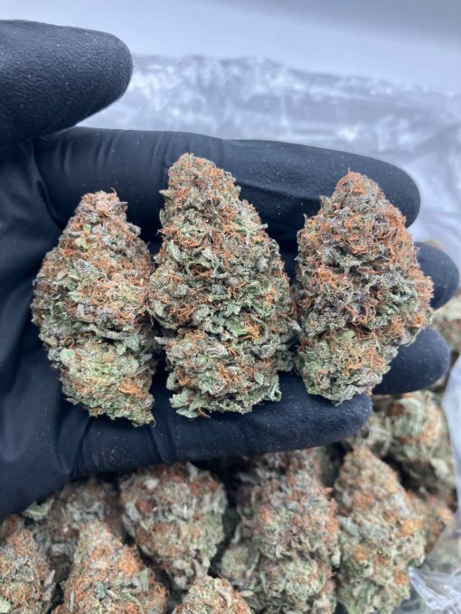 White Plat x OG Strain