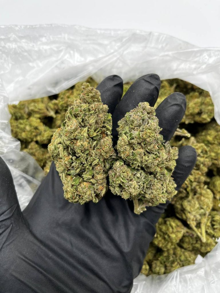 Atomic Daiquiri Strain Puff LA Official