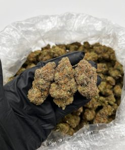 Banana Cream Pie Strain