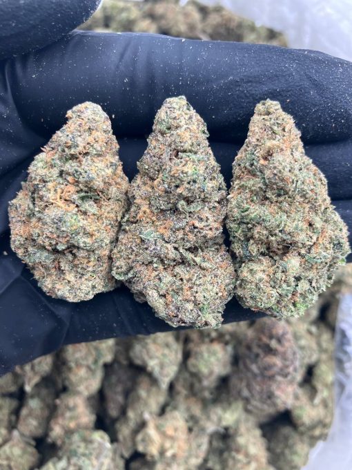 Banana Split Strain