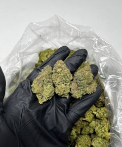 Birthday Cake Strain