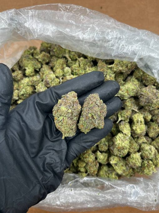 Black Cherry Strain