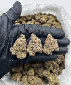 Bubblegum Drop Strain