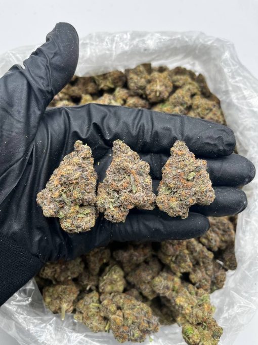 Bubblegum Drop Strain