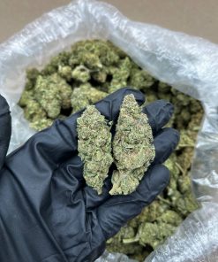 Burnt Bisque Cake Strain