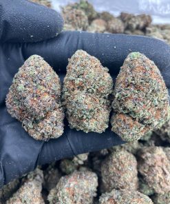 Candy Paint Strain.jpg