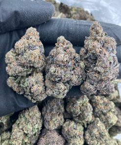 Carolina Runtz Strain