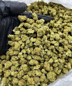 Cheetah Piss Smalls strain