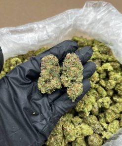 Cherry Gelato Strain