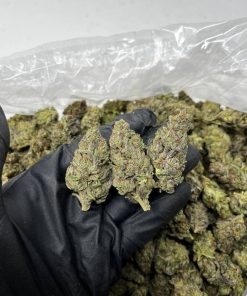 Cherry Jealousy Strain