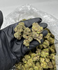 Cookies & Cream strain