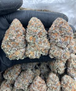 Cookies N Cream strain