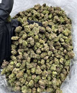 Cookies Smalls strain