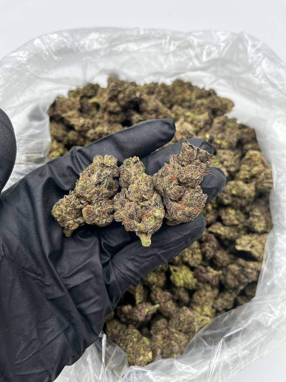 Creamsicle strain Puff LA Official