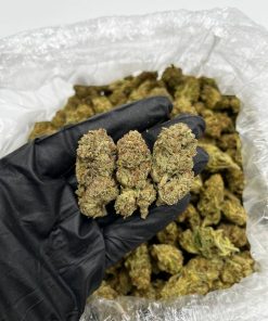 Diamond Cookies strain