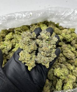 Diamond X ICC Strain