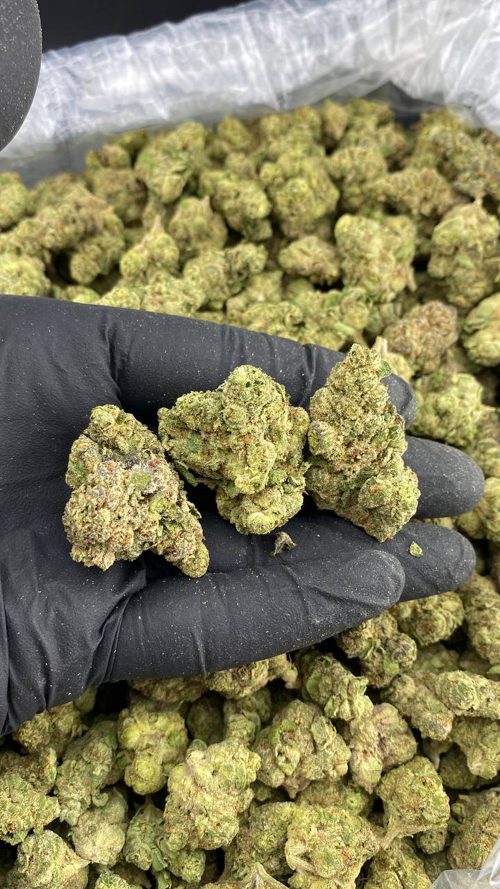 Frosted Flakes Strain Frosted Flakes Strain