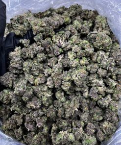 Gary Payton x Fishscale strain