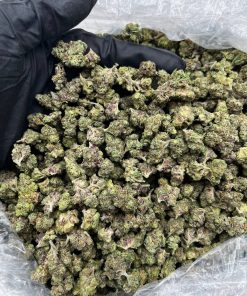 Gelato 33 x Tits Smalls strain