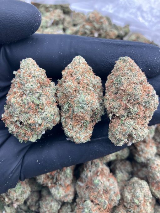 Pie Strain Puff LA Official