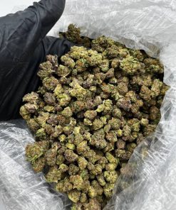 Gushers 41 Smalls strain