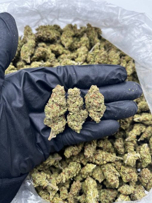 HiOctane strain Puff LA Official