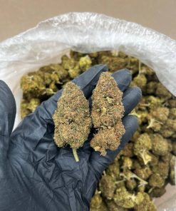 Ice Cream Cake strain