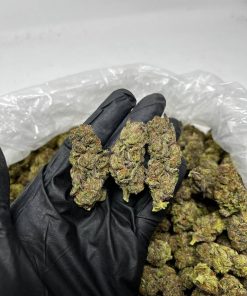 Ice Cream Gelato strain