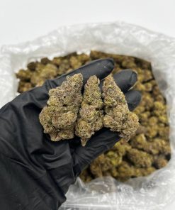 Jealousy Runtz strain