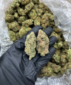 Jealousy Skittles strain