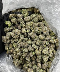 Kush Mint Gelato Strain