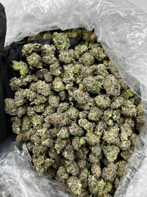 Kush Mint Gelato Strain