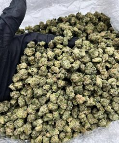 Lemon Bars Smalls strain