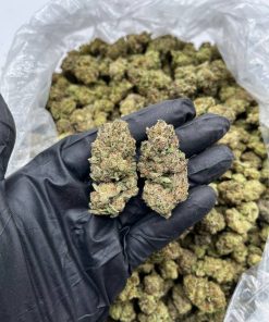 London Cherry Strain