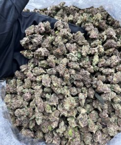 London Jelly Smalls strain