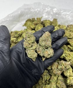 London Pound Cake Strain