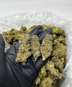 Milk N Cookies strain