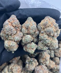 Orange Cookies Strain