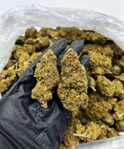 Orange Creamsicle Strain