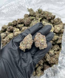 Oreo Milkshake Strain