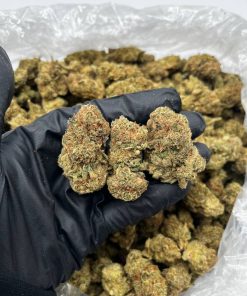 Pineapple Upside Down Cake Strain