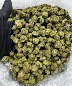 Pipe Dream Smalls strain