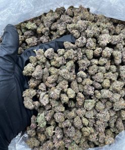 Purple Blossom Smalls strain